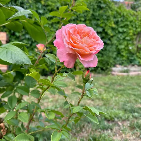 Depot - Zentral Wohnen In