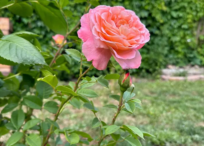 Depot - Zentral Wohnen In